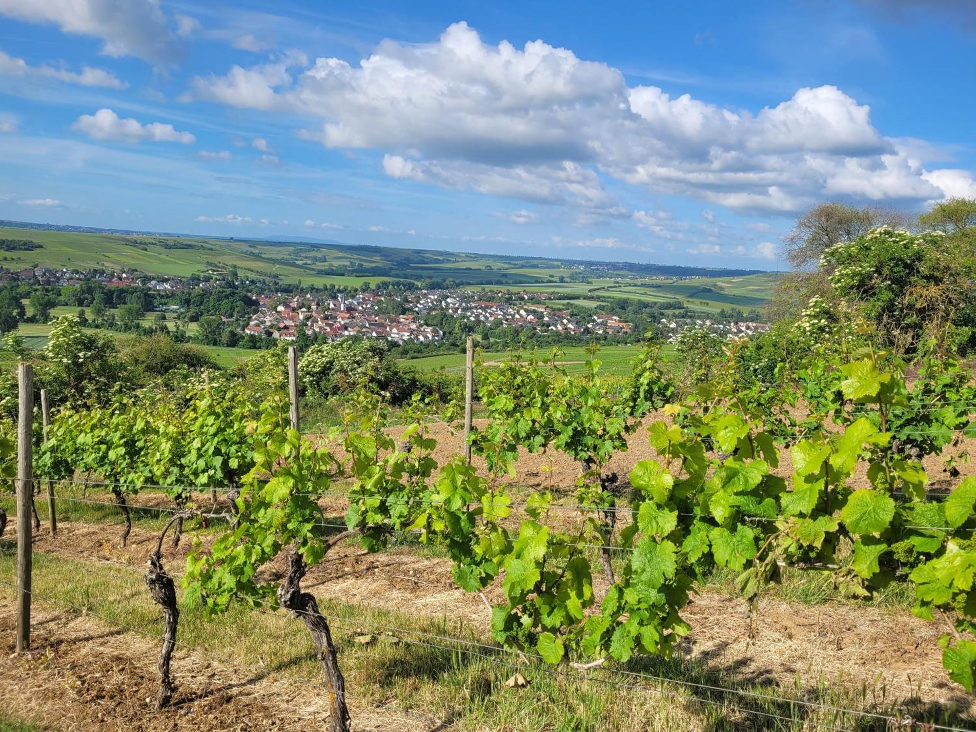Das Hoefchen Stadecken Stadecken-Elsheim Exterior foto
